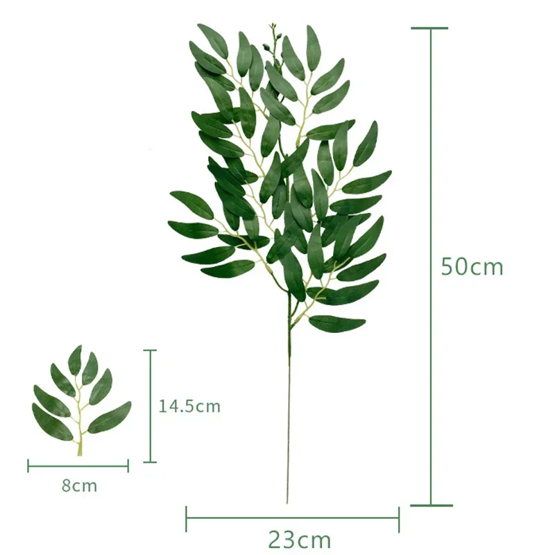 Gałązki Ruskusa Włoskiego 50 cm - zestaw 10 sztuk