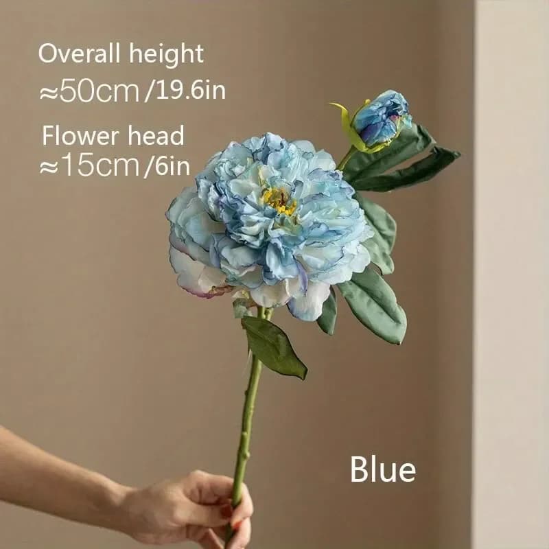 Kwiaty Peonia | Różne kolory